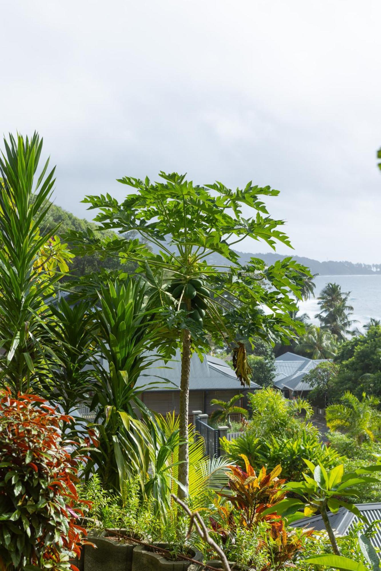 Paradise Chalets Yoga & Wellness Takamaka Exterior photo